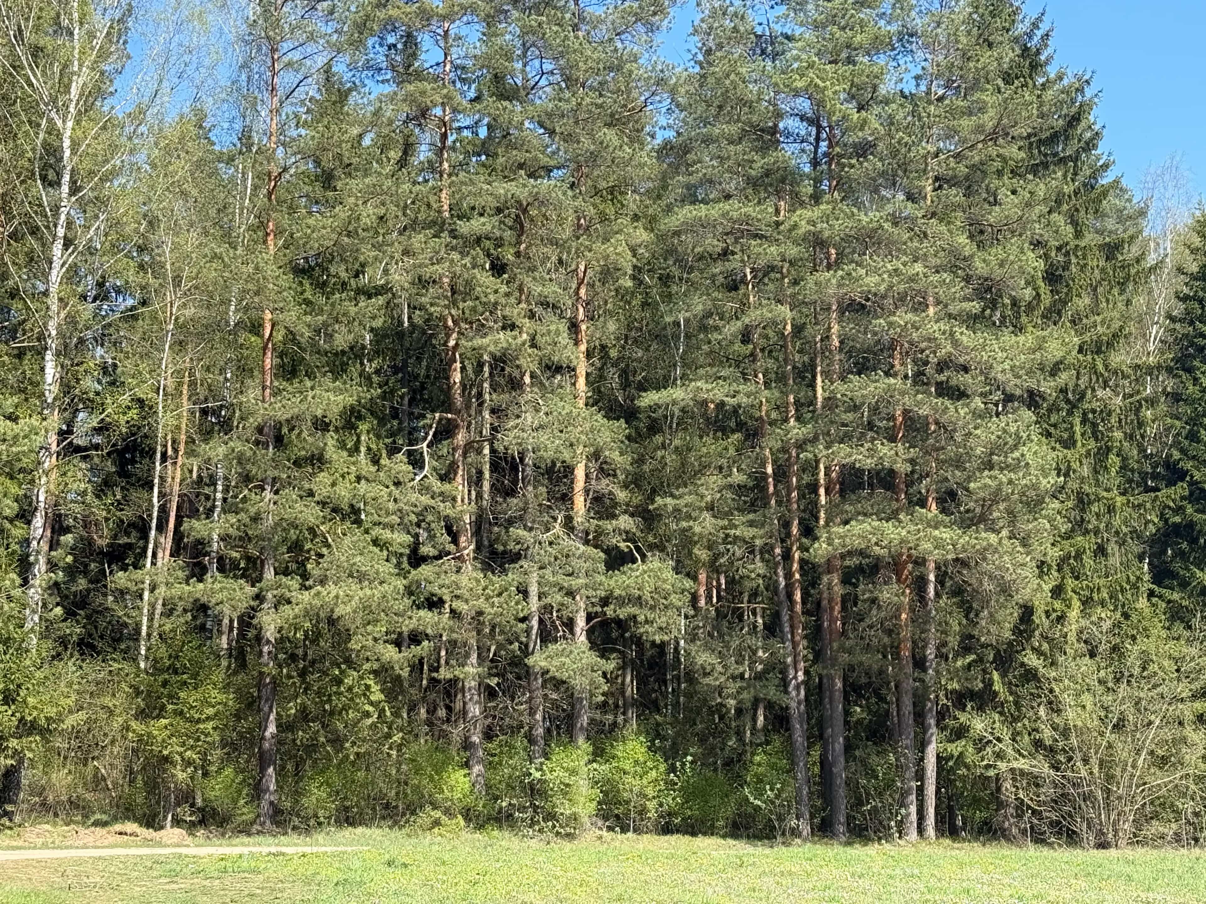 Беларусь, Минский район, Колодищанский сельсовет, СТ Голубой Факел, 134, фото 18