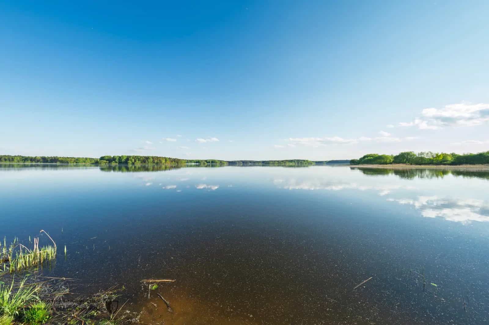 Беларусь, Минский район, Папернянский сельсовет, агрогородок Сёмково, Приморская улица, 12, фото 14