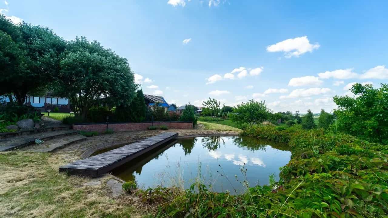 Беларусь, Минская область, Смолевичский район, Усяжский сельсовет, деревня Высокое, Широкая улица, 21, фото 11