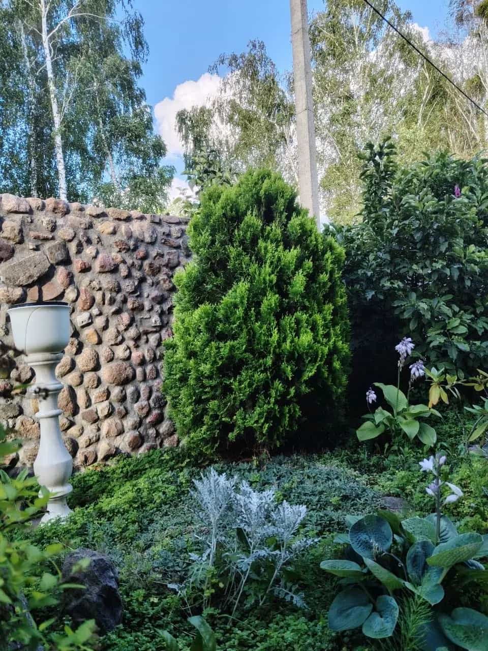 Беларусь, Брест, Ковельское шоссе, 141к668, фото 3