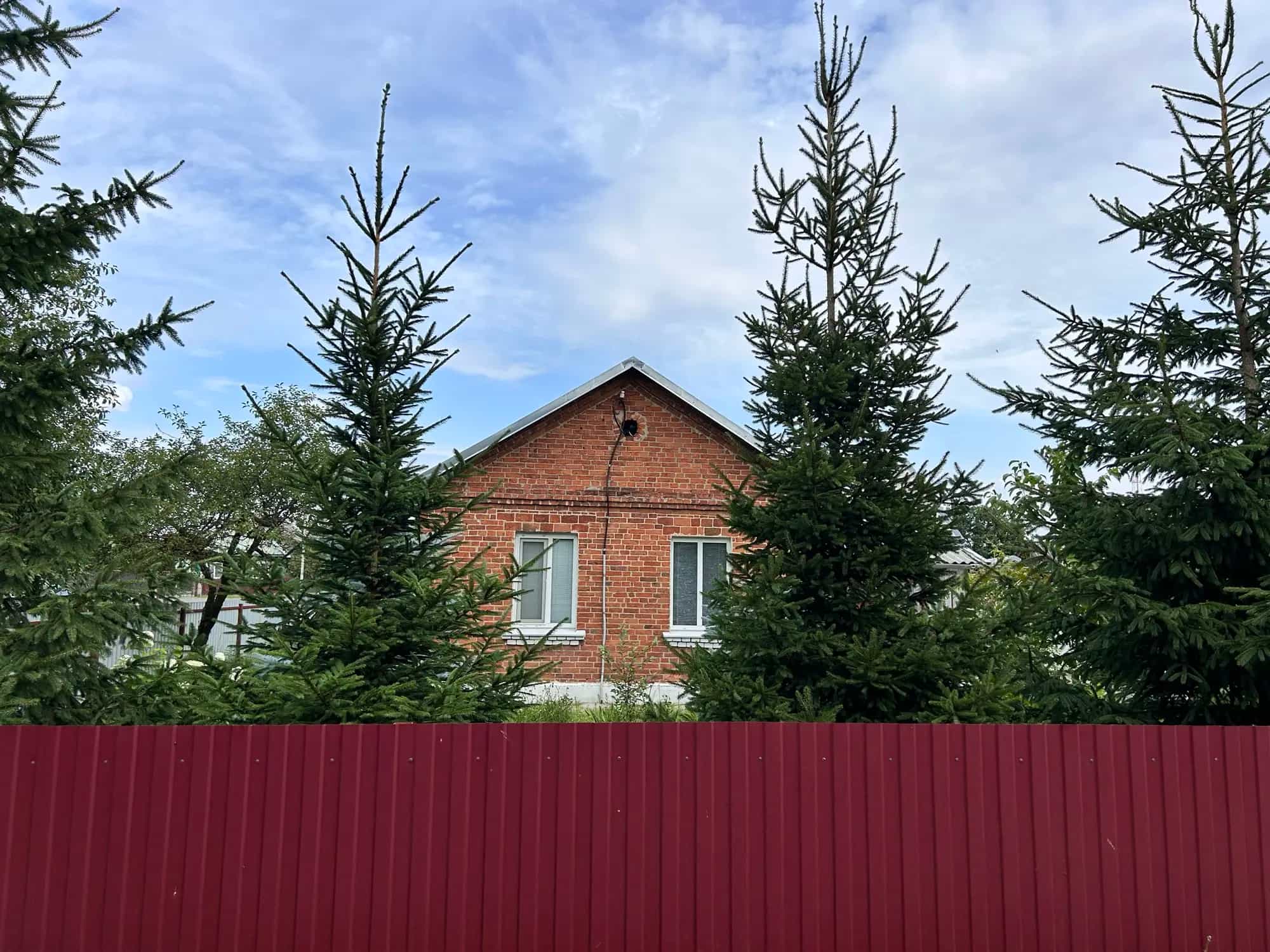 Беларусь, Брестская область, Пружанский район, агрогородок Линово, Вокзальная улица, 54, фото 6