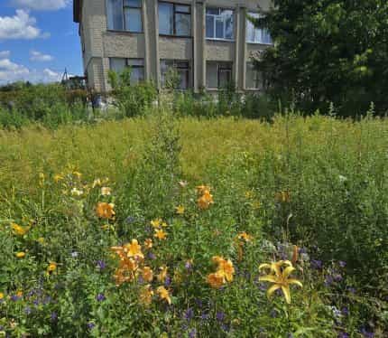 Беларусь, Гомельский район, агрогородок Бобовичи, Крестьянская улица, 2, фото 18