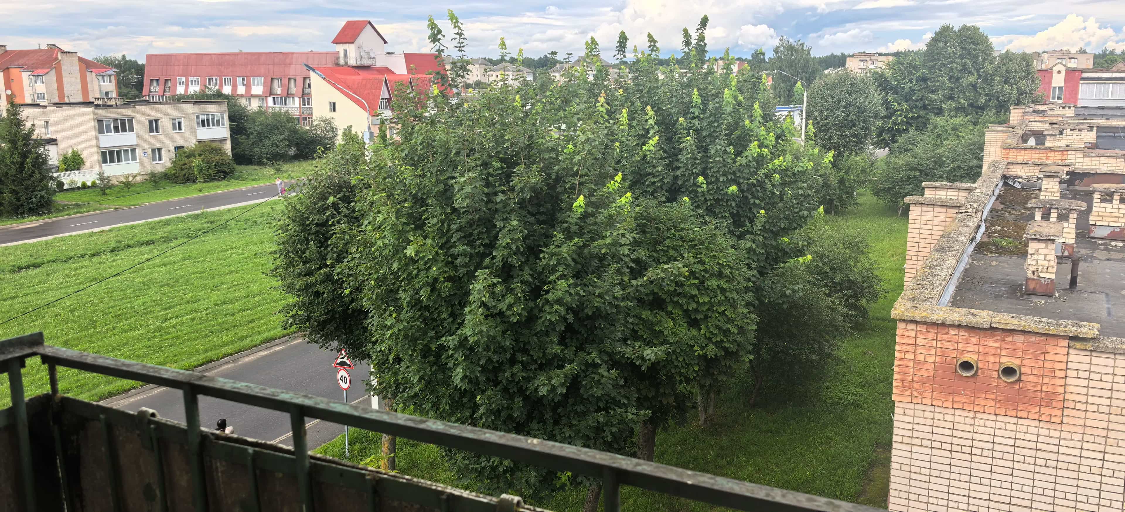 Беларусь, Витебская область, Оршанский район, агрогородок Бабиничи, Заднепровская улица, 14, фото 12