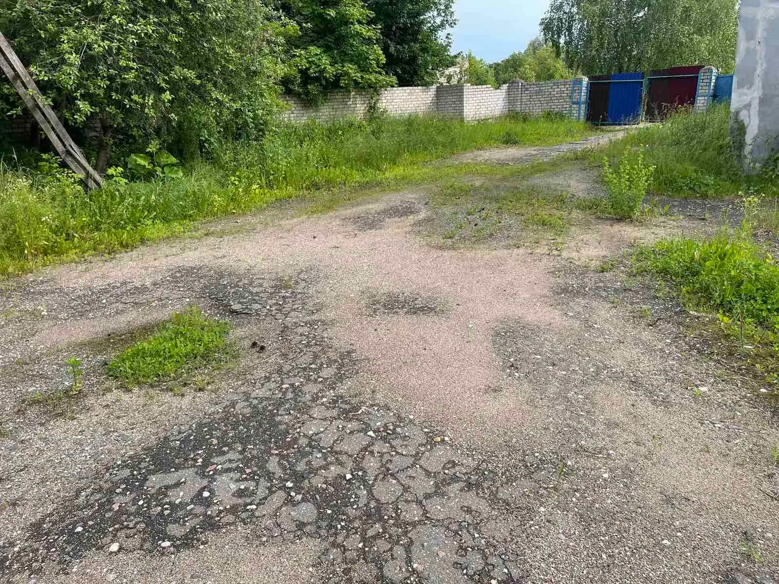 Беларусь, Могилёвская область, Кричев, улица Крупской, 6, фото 11