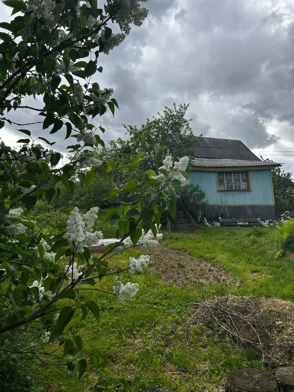 Беларусь, Минский район, Хатежинский сельсовет, садовое товарищество Маяк, 244, фото 4