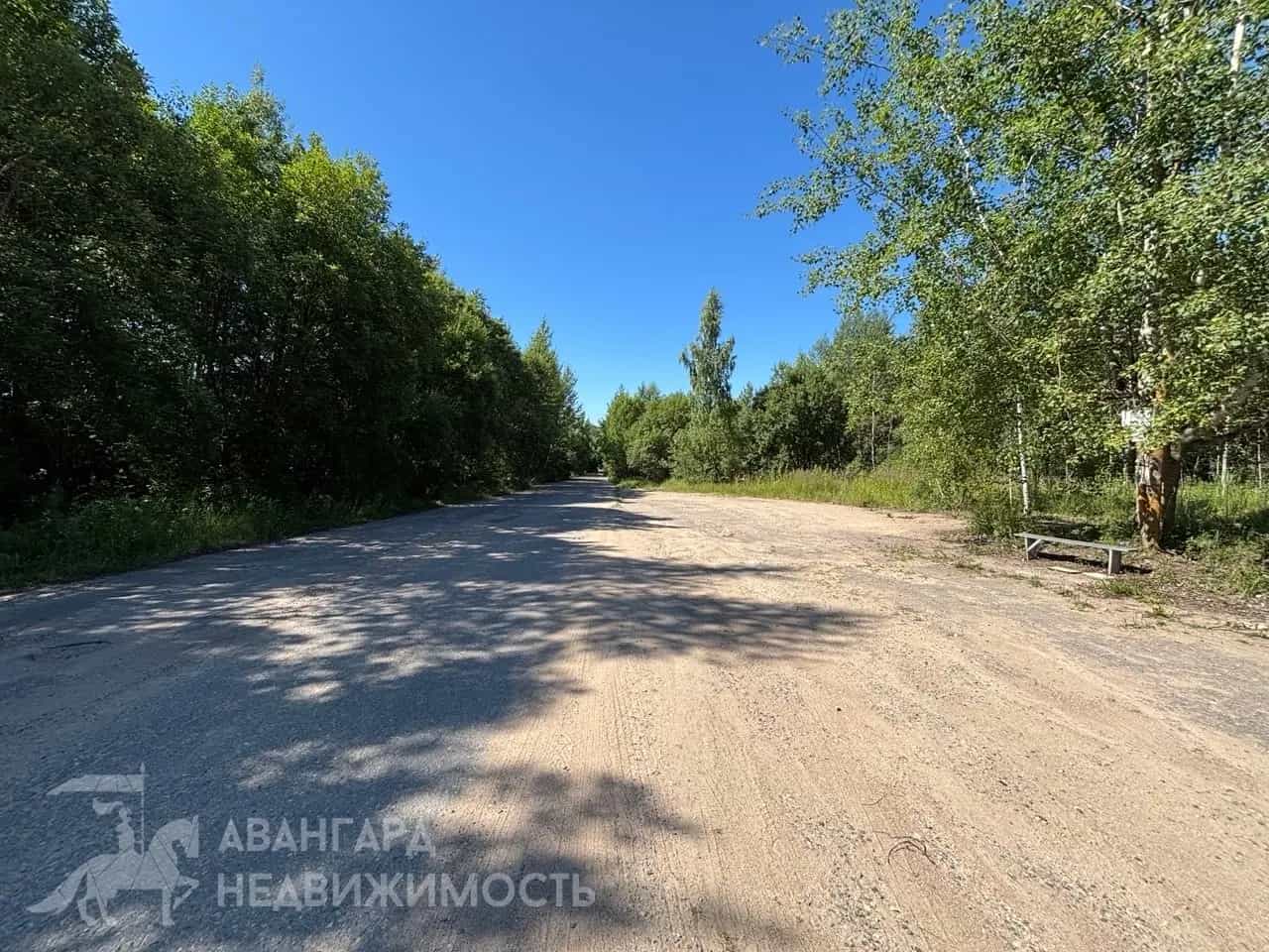 Беларусь, Минская область, Логойский район, Острошицкий сельсовет, СТ Восток-4, 123, фото 9
