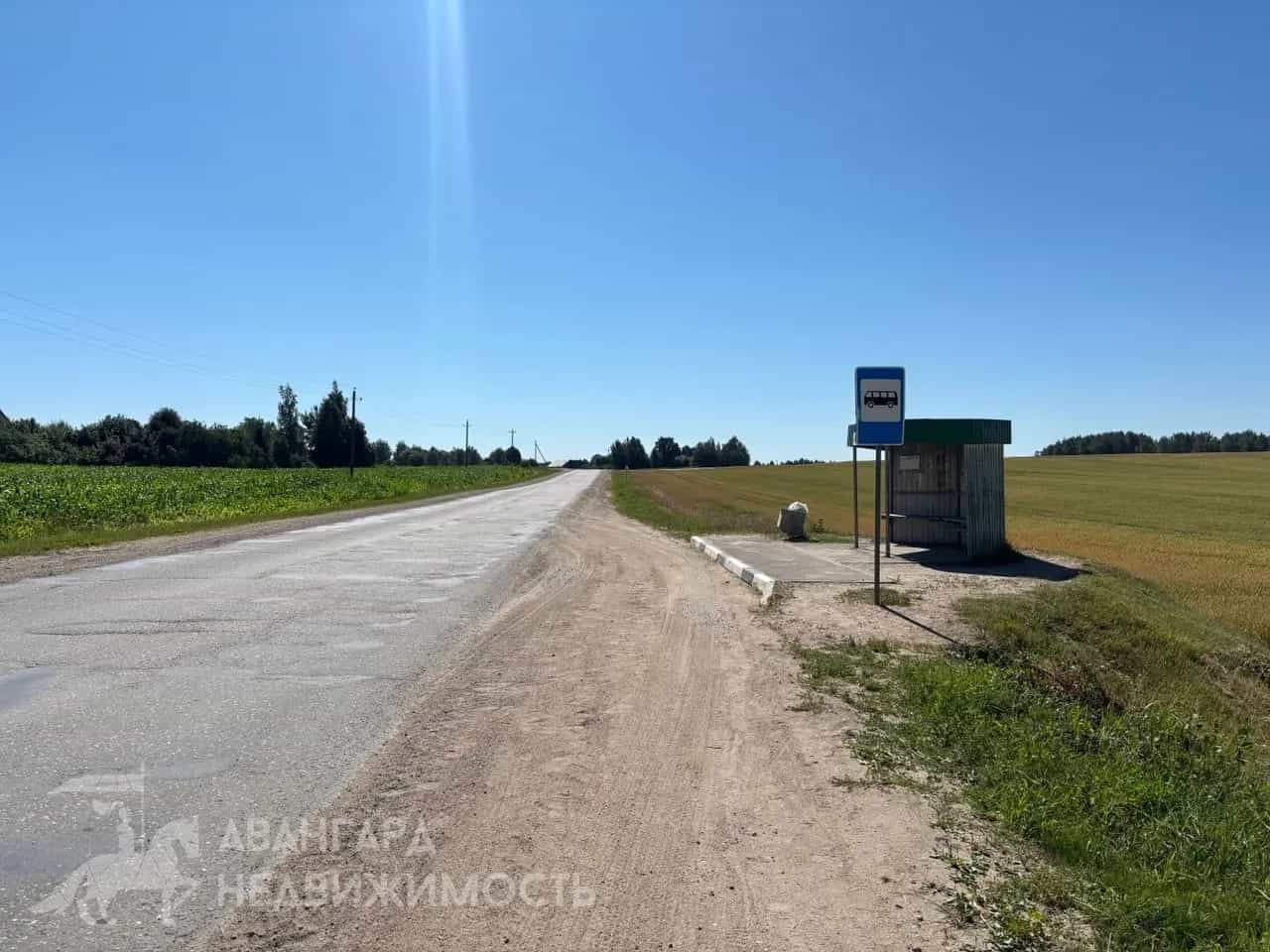 Беларусь, Минская область, Логойский район, Острошицкий сельсовет, СТ Восток-4, 123, фото 10