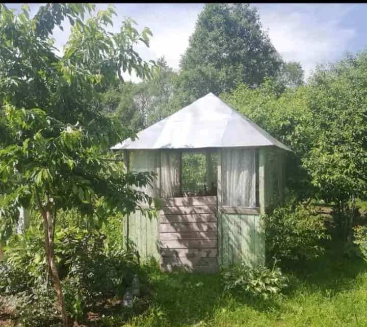 Беларусь, Гродненская область, Сморгонский район, Коренёвский сельсовет, деревня Лубянка, 24, фото 8
