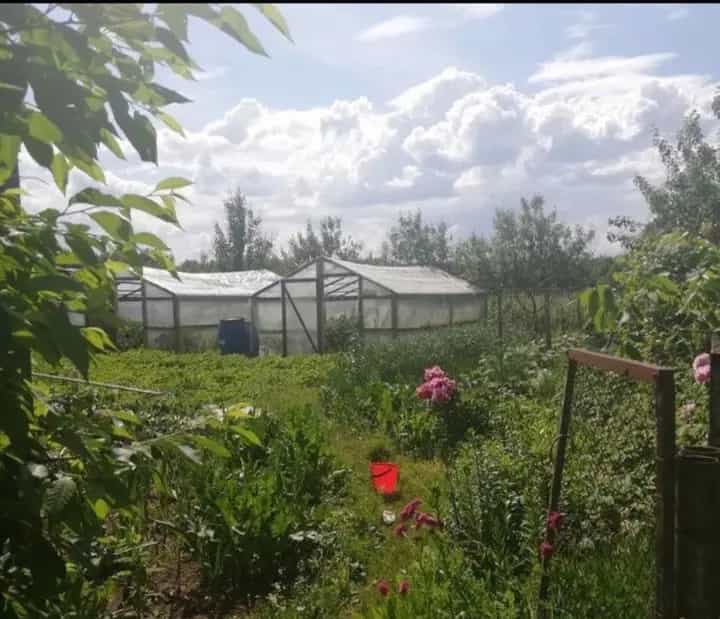 Беларусь, Гродненская область, Сморгонский район, Коренёвский сельсовет, деревня Лубянка, 24, фото 10