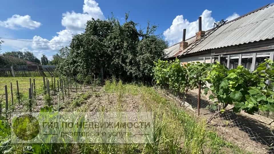Беларусь, Гомельская область, Ветковский район, Радужский сельсовет, агрогородок Новосёлки, Советская улица, 20, фото 17