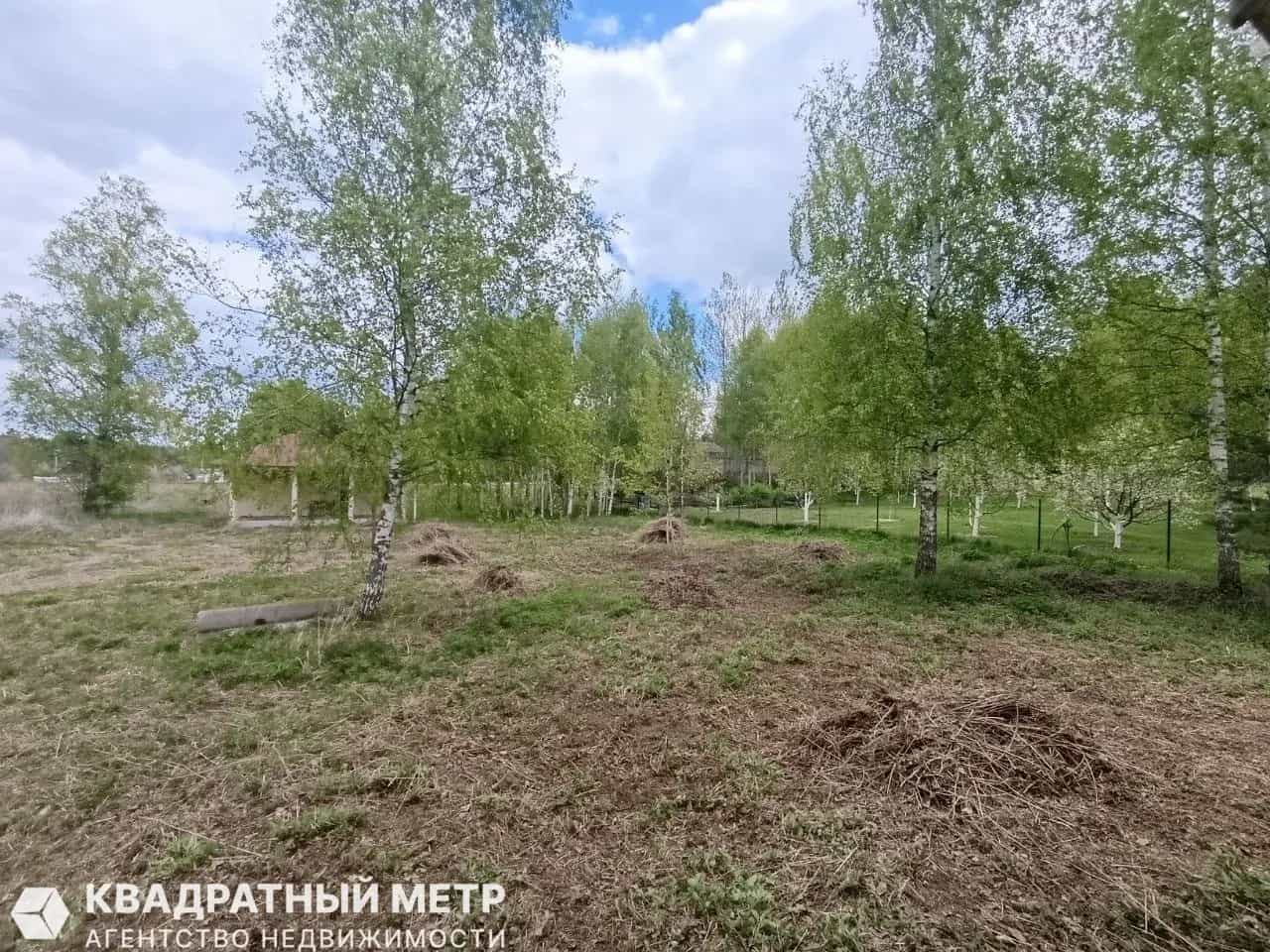 Беларусь, Минская область, Логойский район, Швабский сельсовет, деревня Погребище, Набережная улица, 11, фото 13