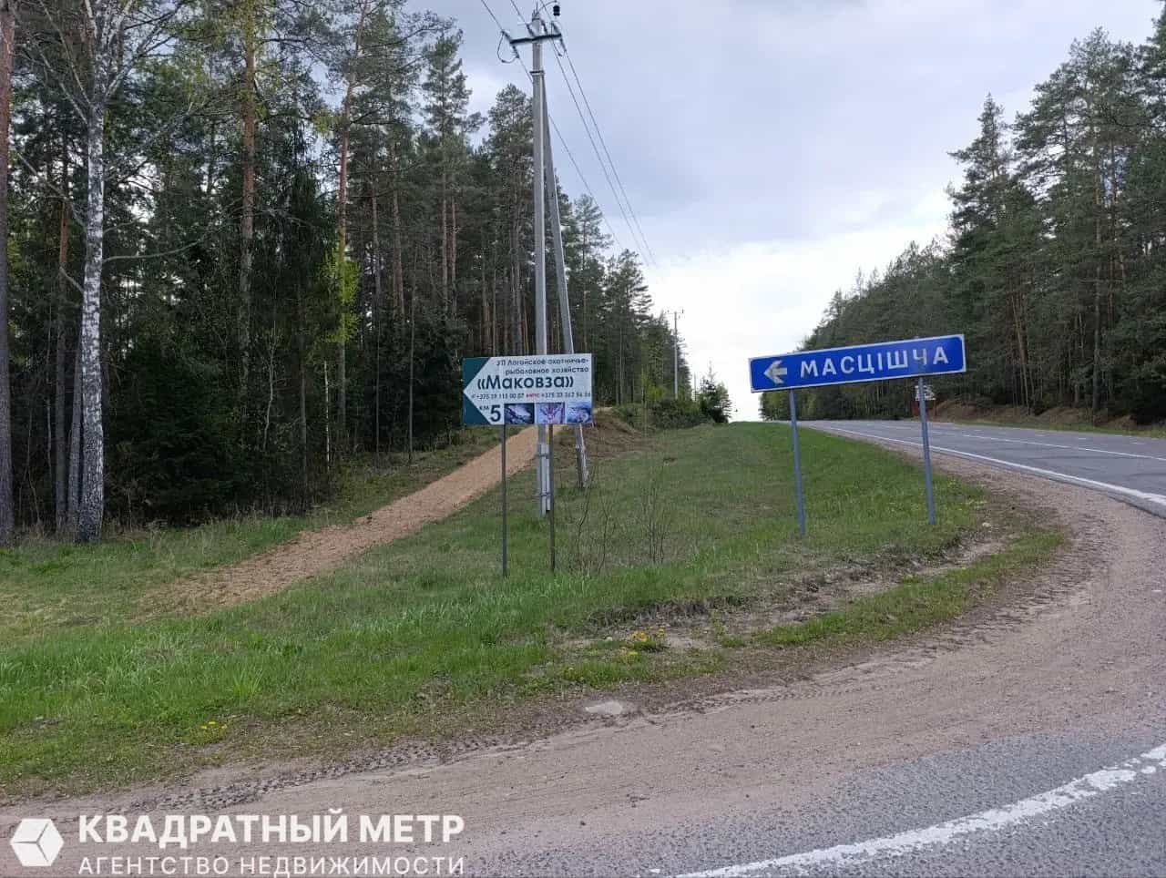 Беларусь, Минская область, Логойский район, Швабский сельсовет, деревня Погребище, Набережная улица, 11, фото 14