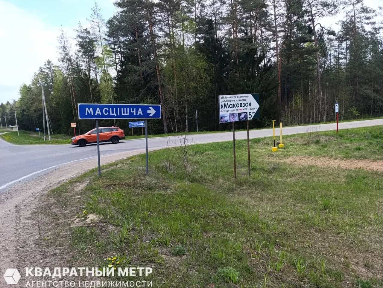 Беларусь, Минская область, Логойский район, Швабский сельсовет, деревня Погребище, Набережная улица, 11, фото 15