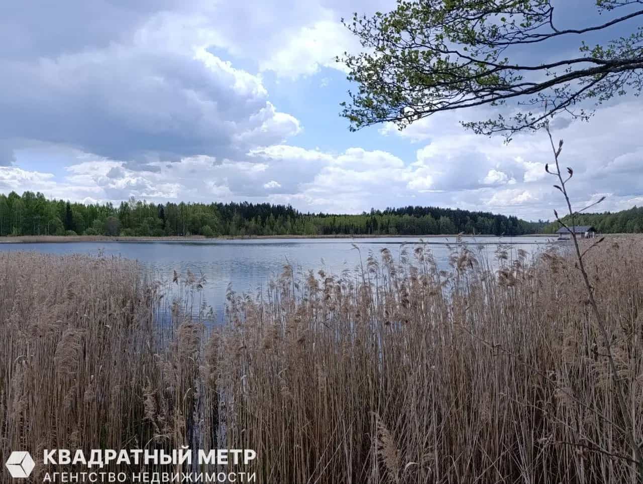 Беларусь, Минская область, Логойский район, Швабский сельсовет, деревня Погребище, Набережная улица, 11, фото 17