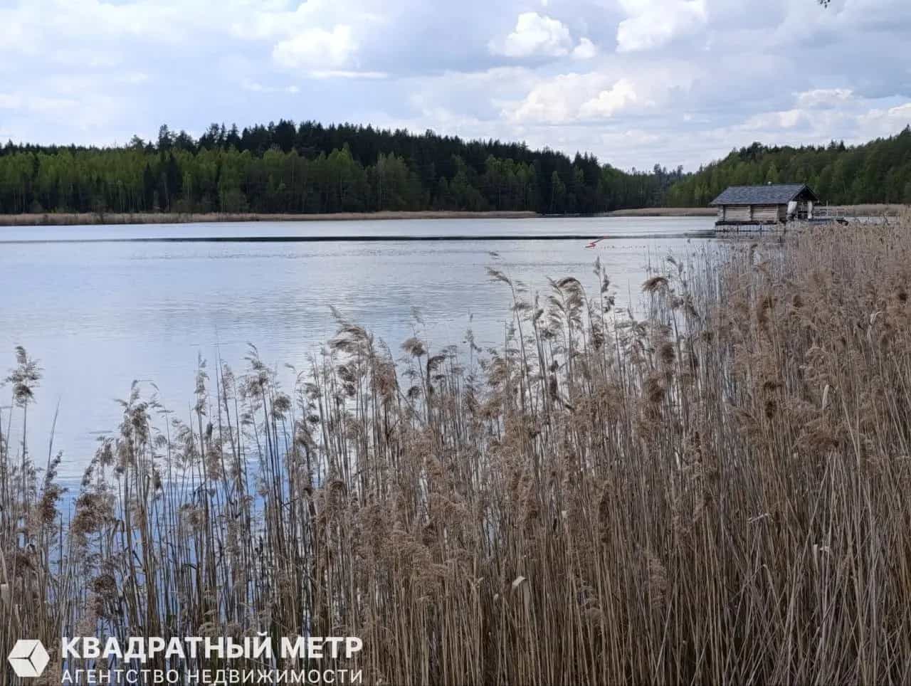 Беларусь, Минская область, Логойский район, Швабский сельсовет, деревня Погребище, Набережная улица, 11, фото 18