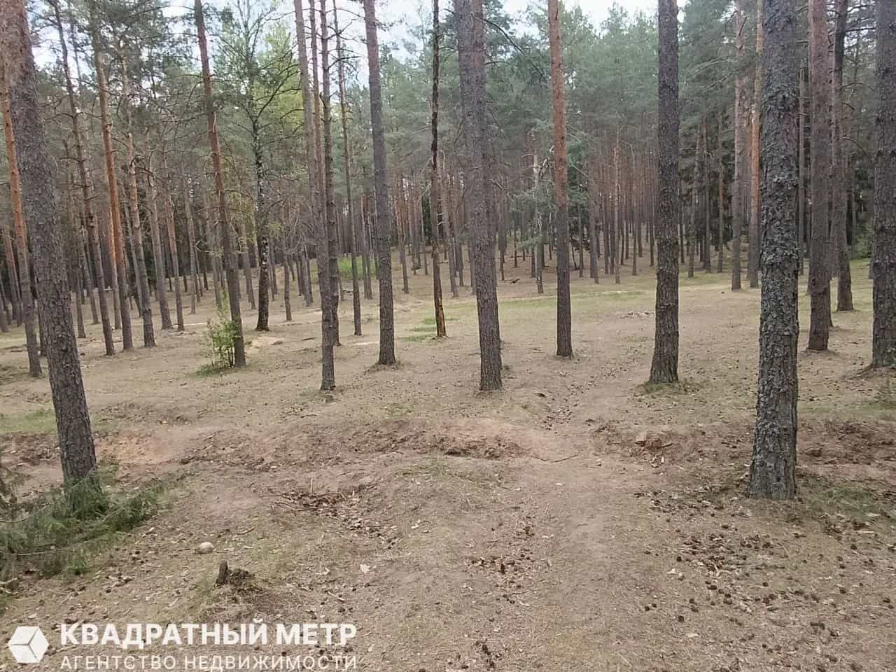 Беларусь, Минская область, Логойский район, Швабский сельсовет, деревня Погребище, Набережная улица, 11, фото 19
