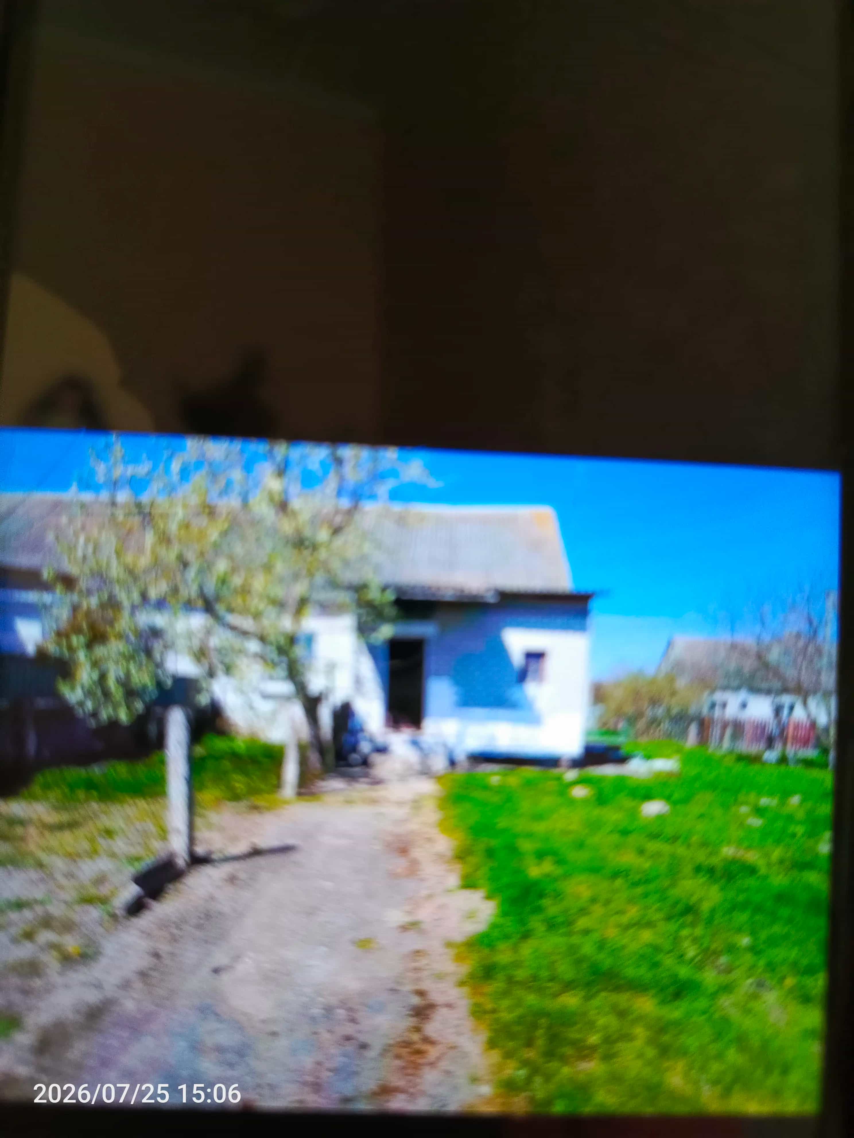 Беларусь, Гродненская область, Мостовский район, Песковский сельсовет, агрогородок Пацевичи, улица Черменного, 10, фото 9
