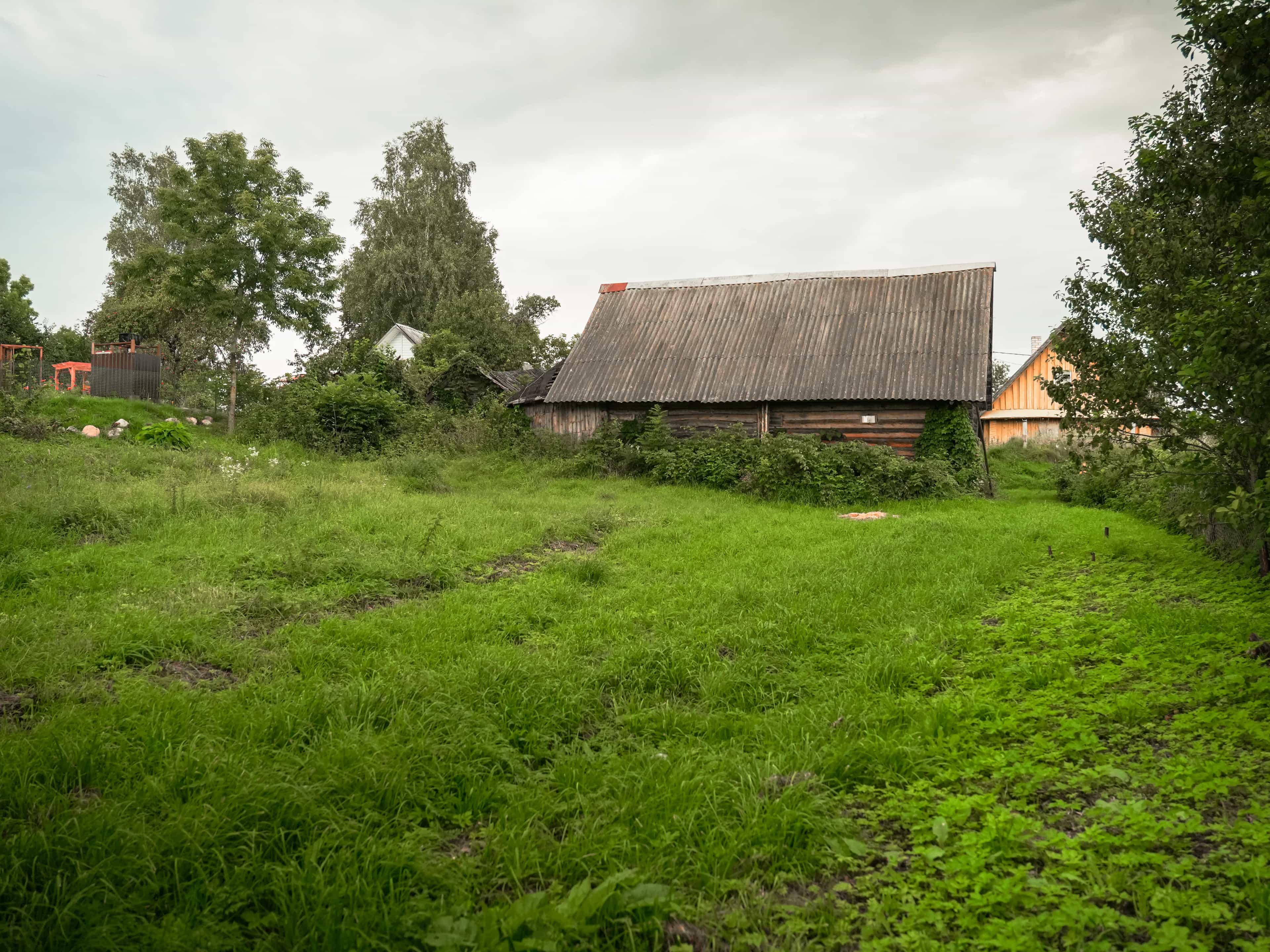 Беларусь, Минская область, Мядельский район, Нарочский сельсовет, деревня Застенок Брили, 5, фото 8
