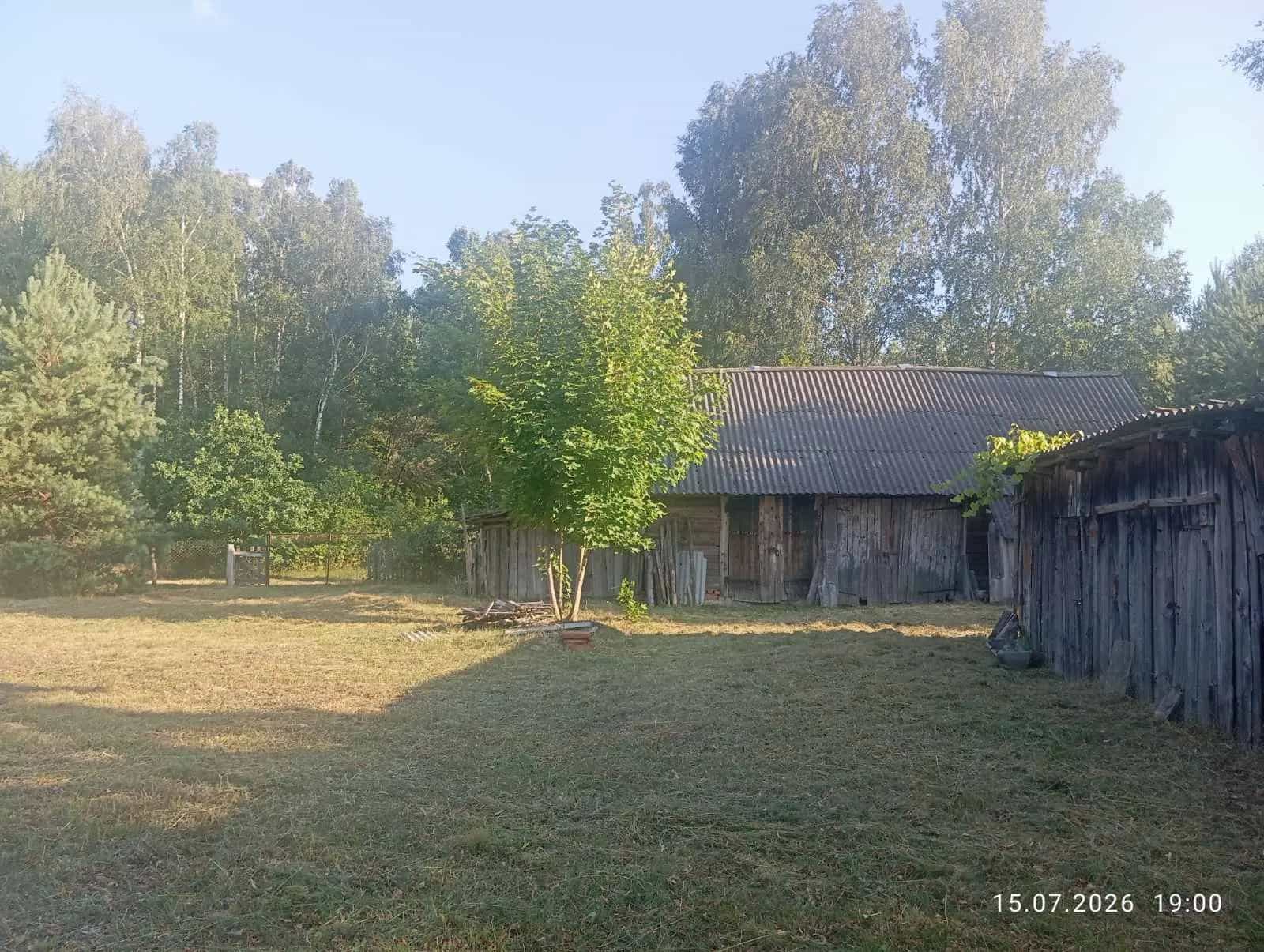 Беларусь, Брестская область, Дрогичинский район, Антопольский сельсовет, агрогородок Детковичи, Партизанская улица, 5, фото 3