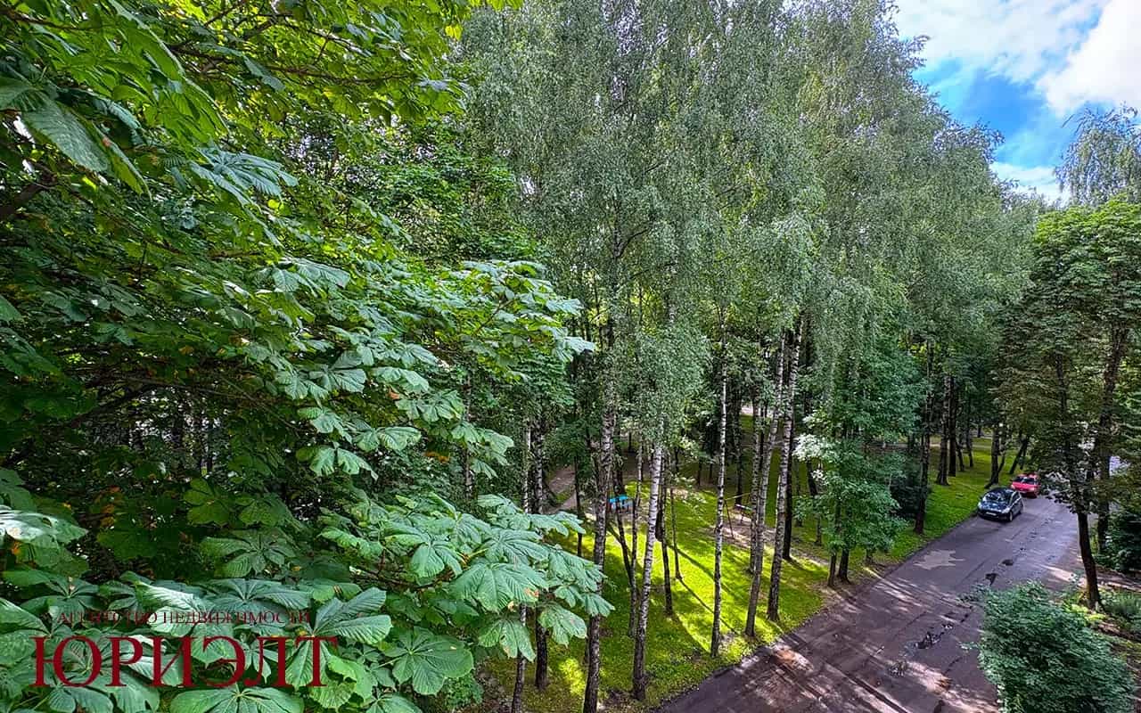 Беларусь, Витебск, улица Чкалова, 16, фото 11