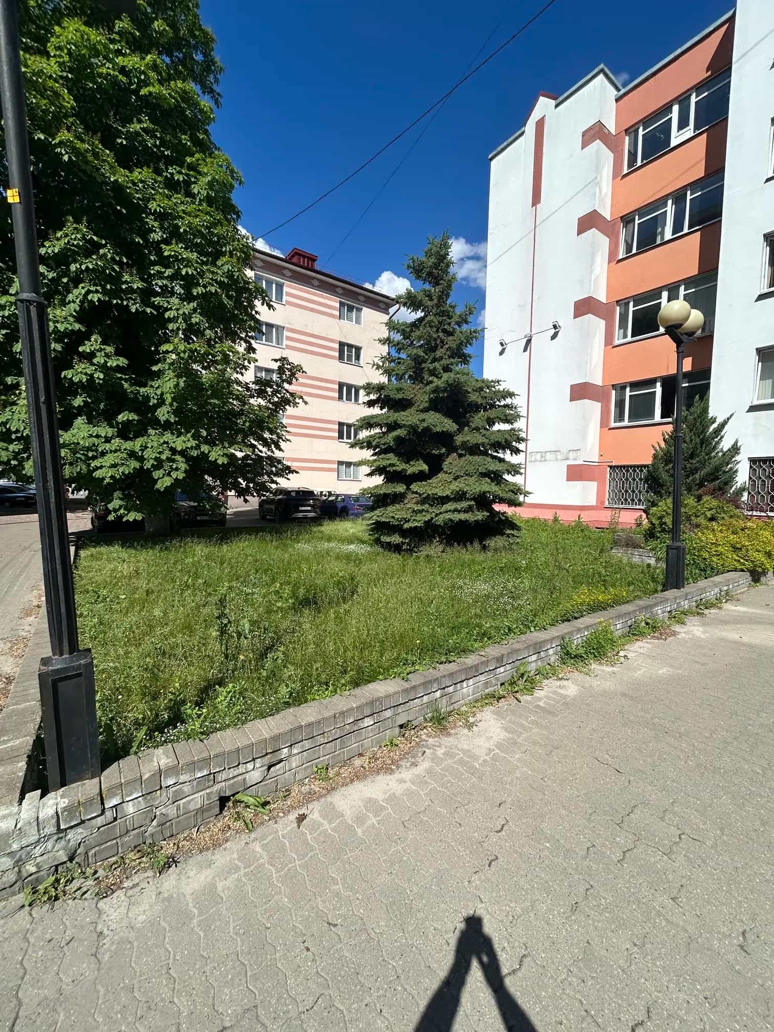 Беларусь, Гомель, улица Тельмана, 4, фото 2
