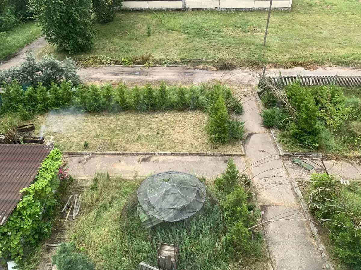 Беларусь, Могилёвская область, Осиповичский район, агрогородок Лапичи, Армейская улица, 1А, фото 15