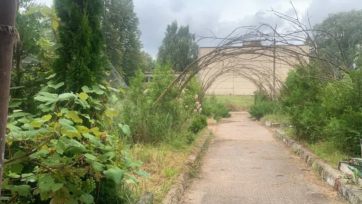 Беларусь, Могилёвская область, Осиповичский район, агрогородок Лапичи, Армейская улица, 1А, фото 17