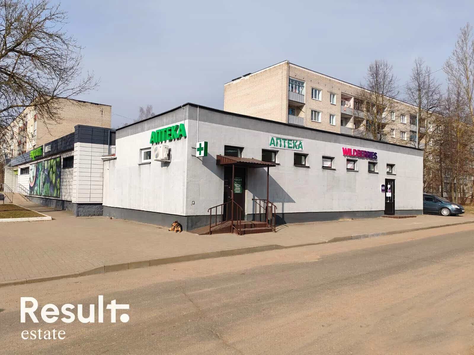 Беларусь, Витебская область, Полоцк, Невельская улица, 61