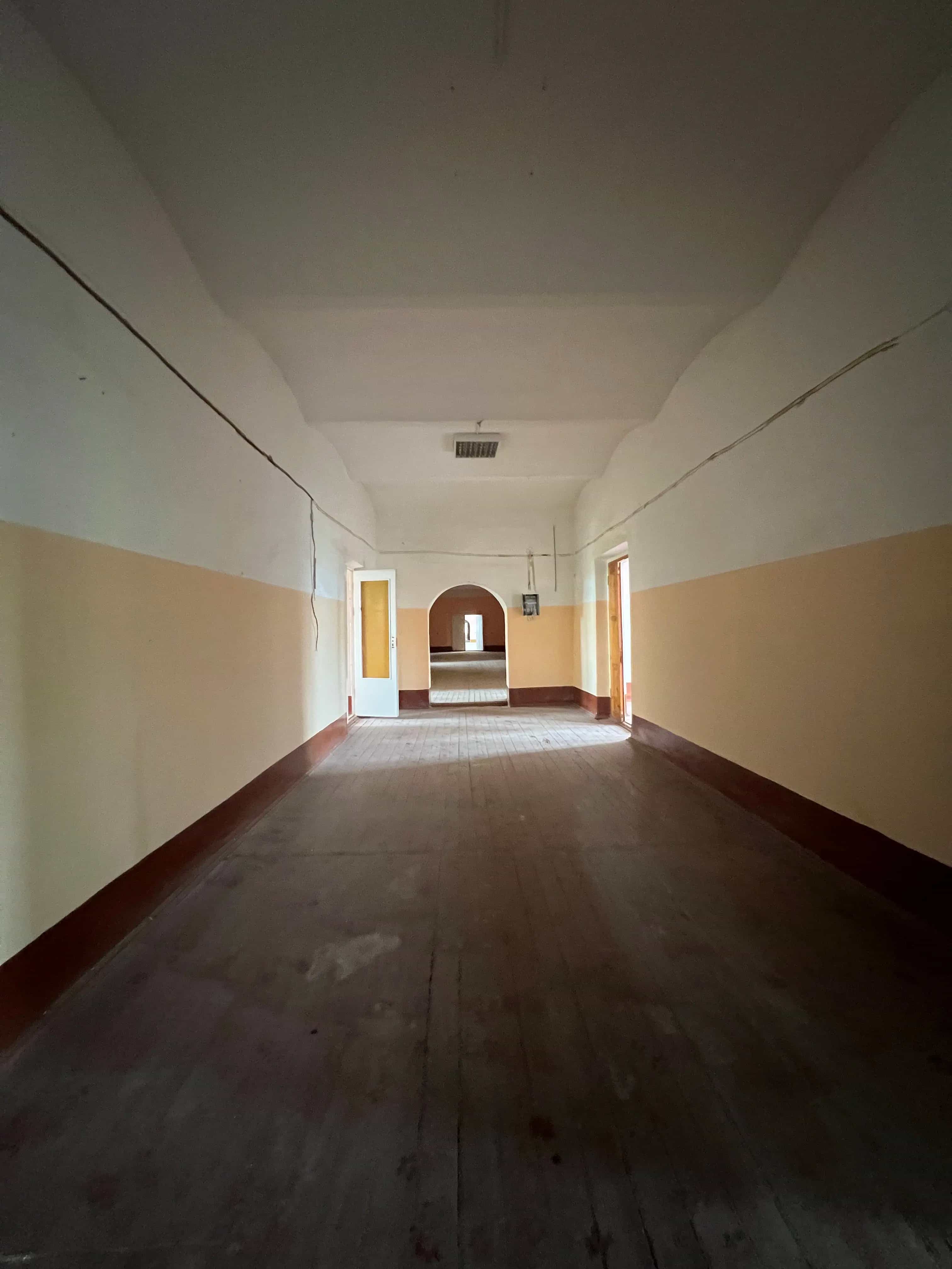 Беларусь, Могилёвская область, Осиповичский район, агрогородок Лапичи, Армейская улица, 1А, фото 12