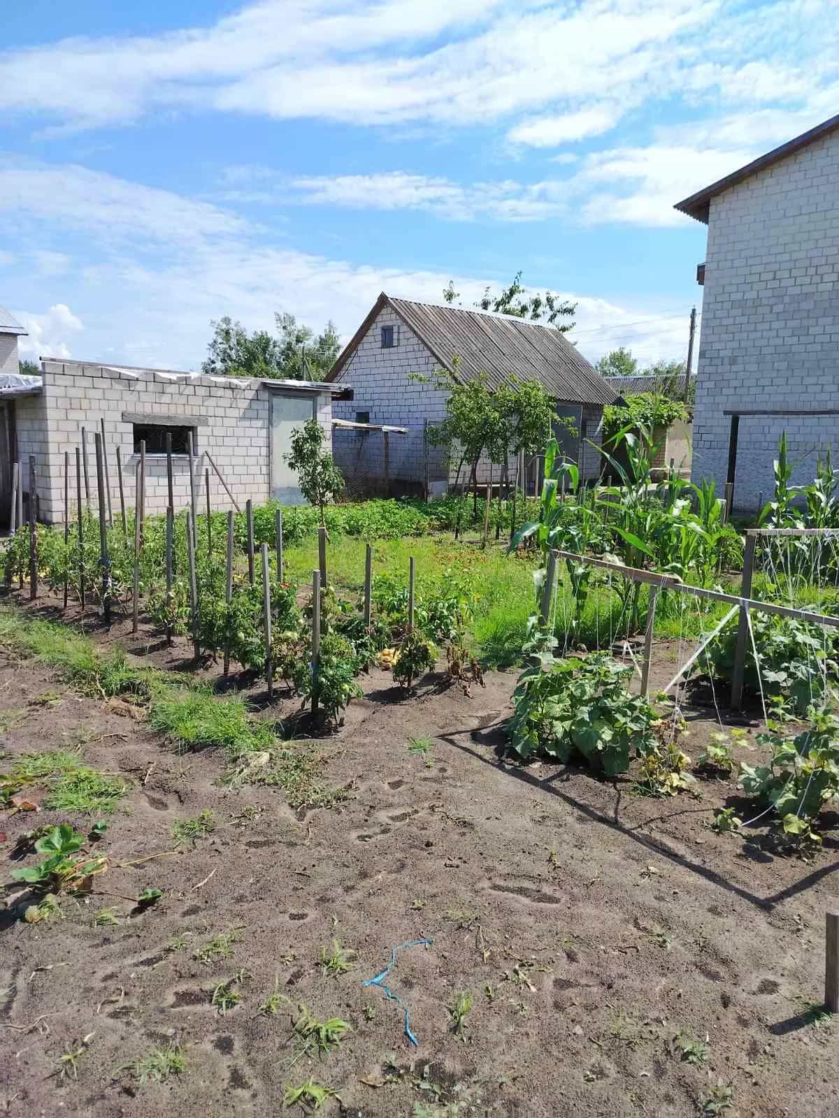 Беларусь, Гомельская область, Светлогорск, переулок Энергетиков, 1В, фото 6