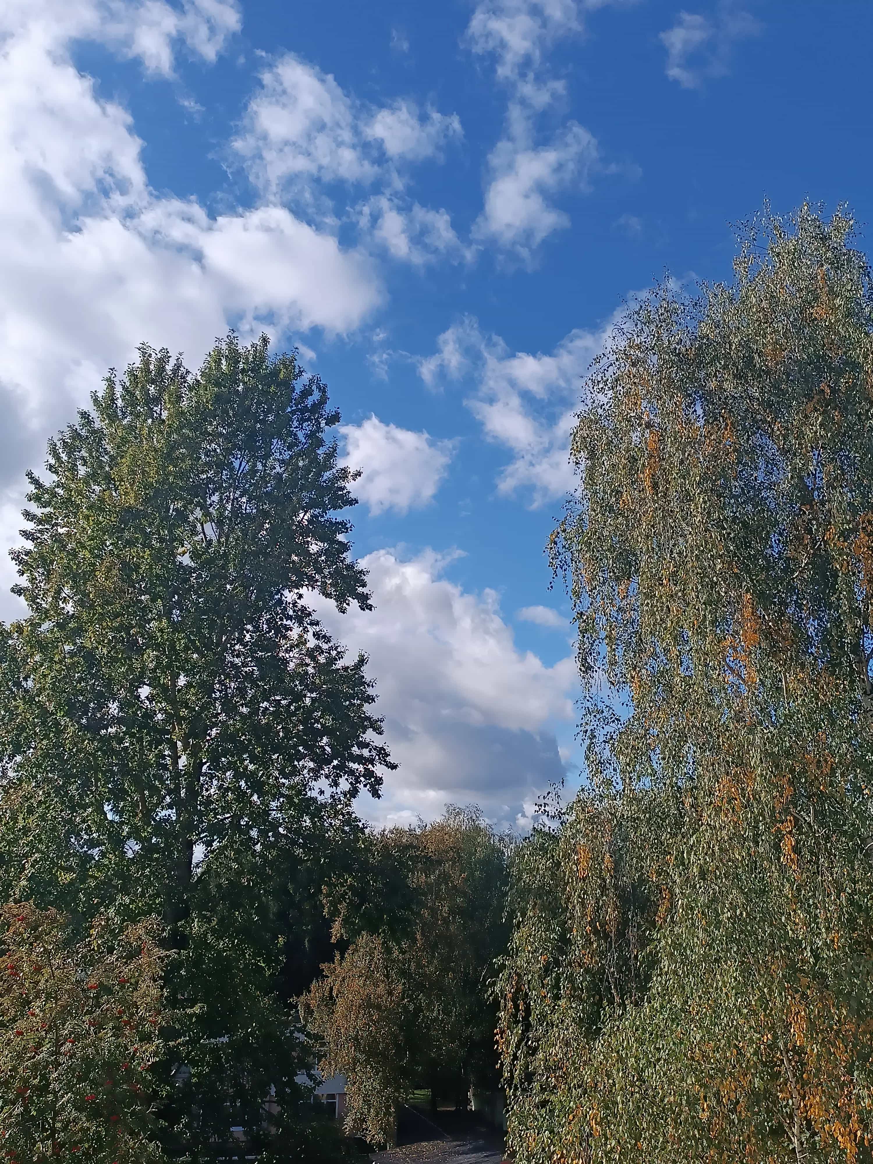 Беларусь, Витебск, улица Чкалова, 9к7, фото 11