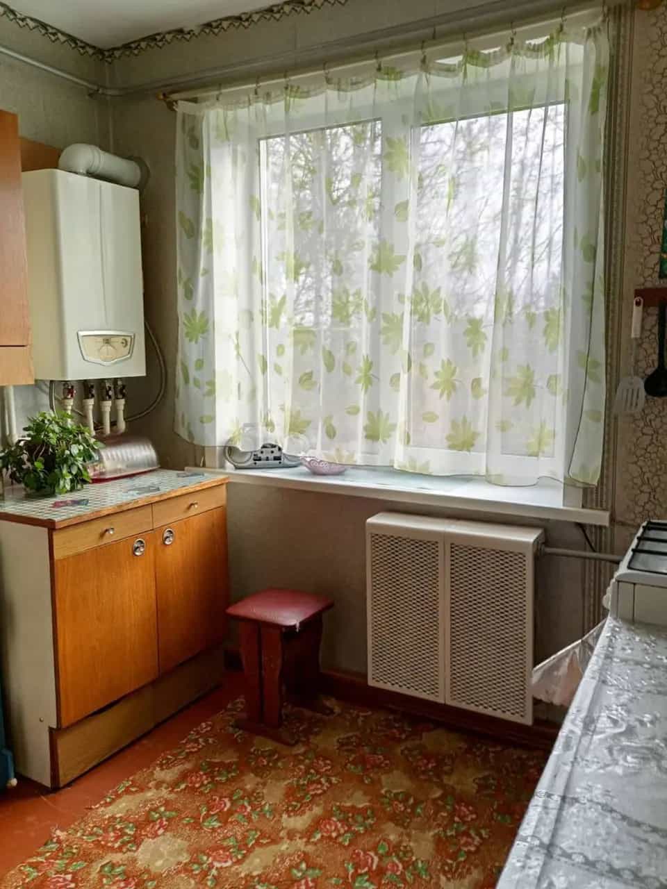 Беларусь, Минская область, Слуцкий район, Покрашевский сельсовет, агрогородок Леньки, Новая улица, 1