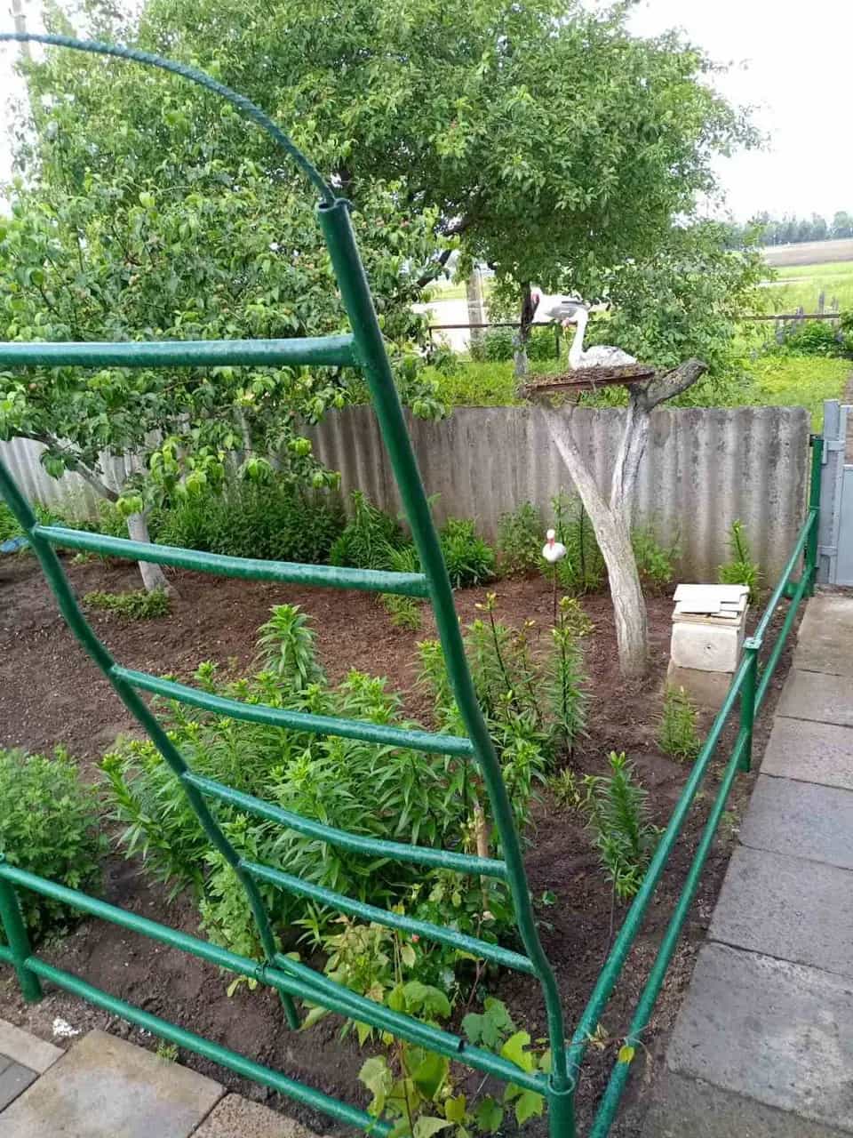 Беларусь, Минская область, Слуцкий район, Покрашевский сельсовет, агрогородок Леньки, Новая улица, 1, фото 17