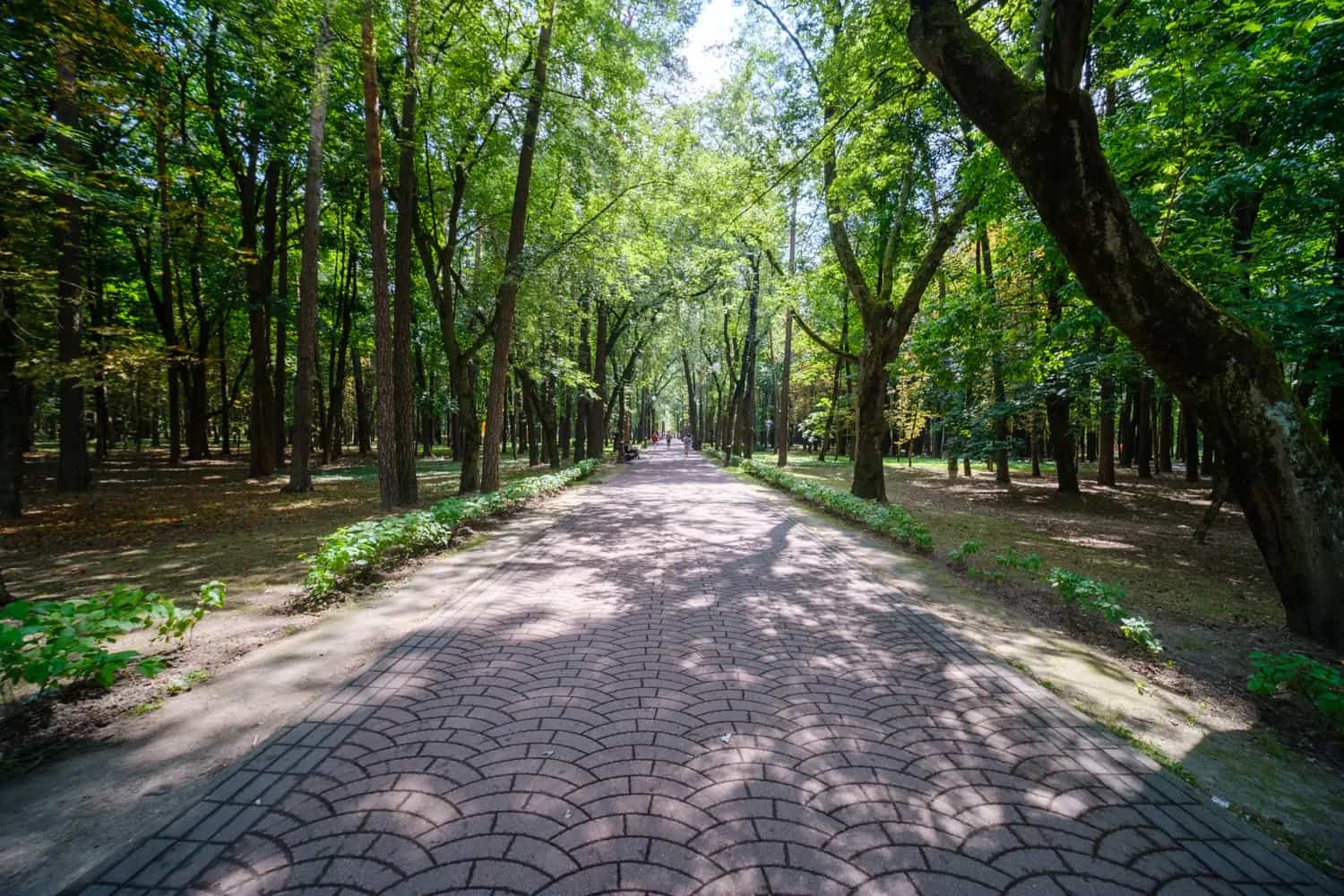 Беларусь, Минск, улица Калинина, 1, фото 27