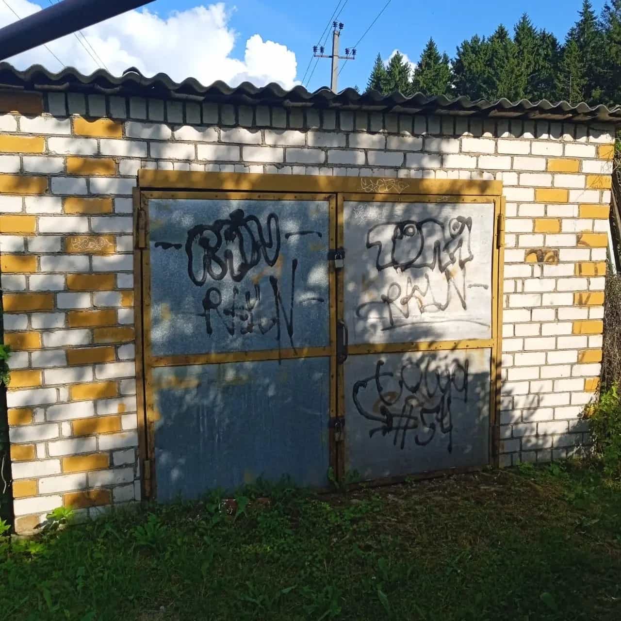Беларусь, Витебская область, Сенно, переулок Красный Октябрь, 26Б, фото 10