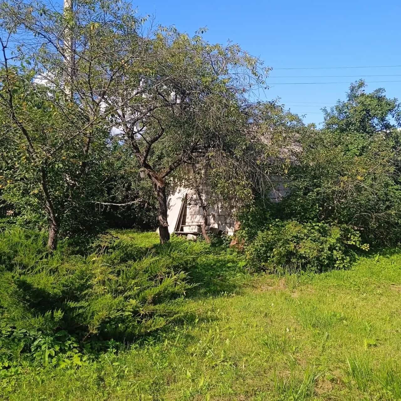 Беларусь, Витебская область, Сенно, переулок Красный Октябрь, 26Б, фото 12