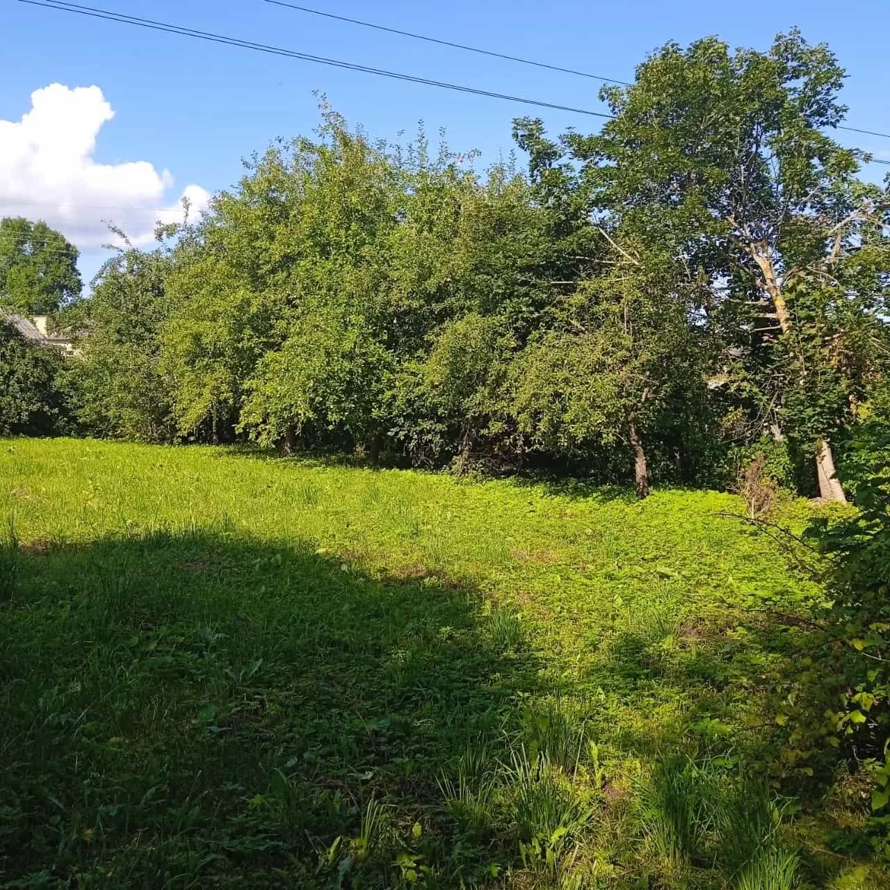 Беларусь, Витебская область, Сенно, переулок Красный Октябрь, 26Б, фото 14