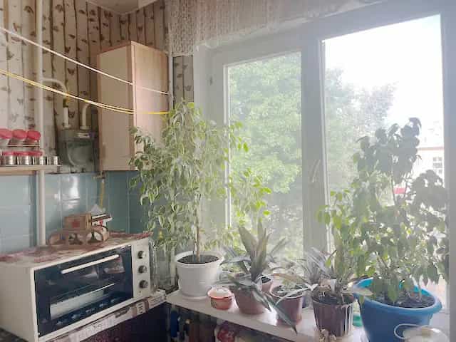 Беларусь, Минск, улица Тухачевского, 43, фото 6