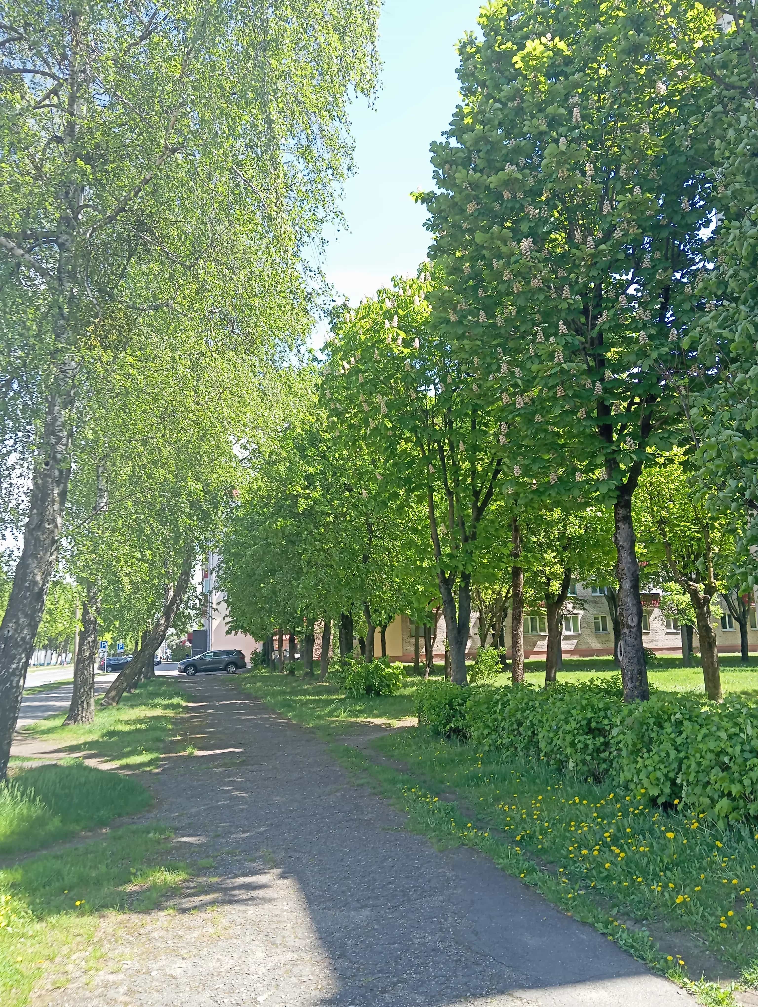 Беларусь, Брестская область, Барановичи, улица Курчатова, 17, фото 6