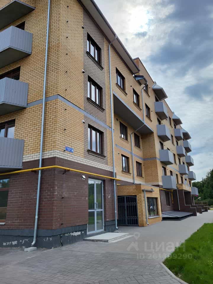 Россия, Псков, Петровская улица, 4Б, фото 2