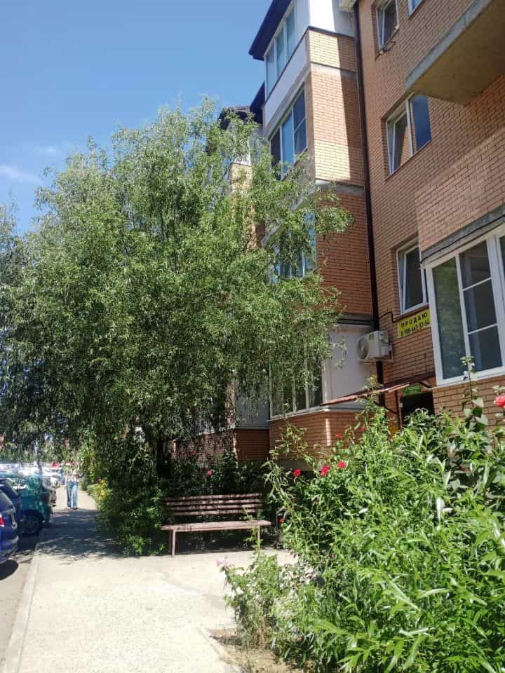 Россия, Республика Адыгея (Адыгея), Тахтамукайский район, Старобжегокайское сельское поселение, аул Новая Адыгея, Бжегокайская улица, 31/2к4, фото 2