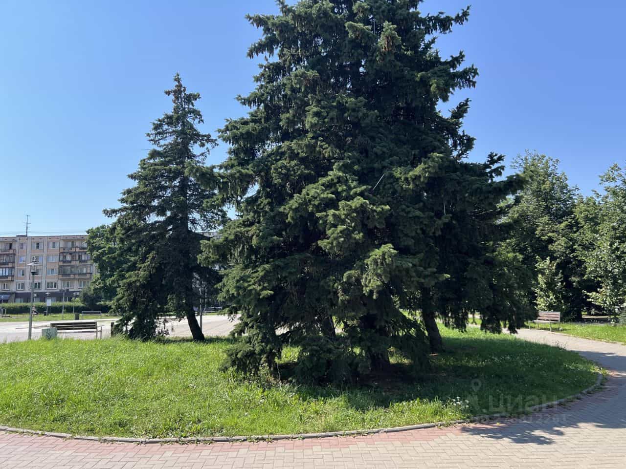 Россия, Псков, улица Максима Горького, 14/6, фото 18