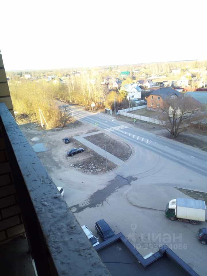 Россия, Псковский муниципальный округ, деревня Портянниково, Александровский проезд, 2, фото 4
