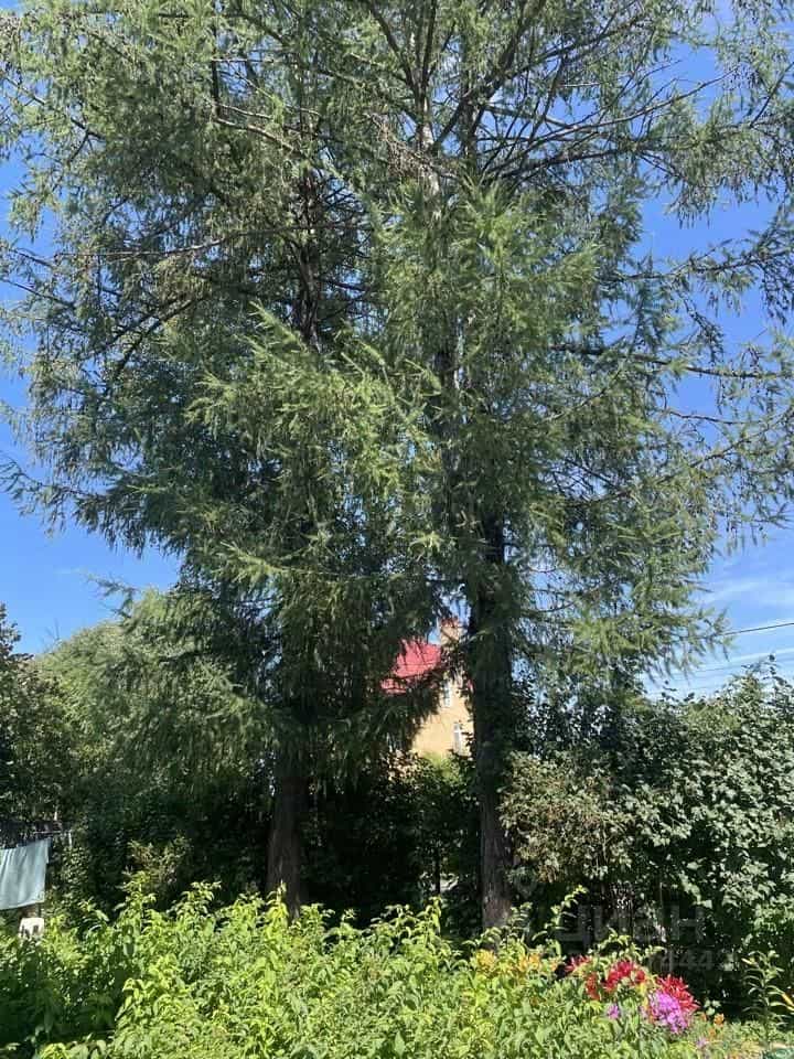 Россия, Новгородская область, Валдай, Колхозная улица, 7, фото 15