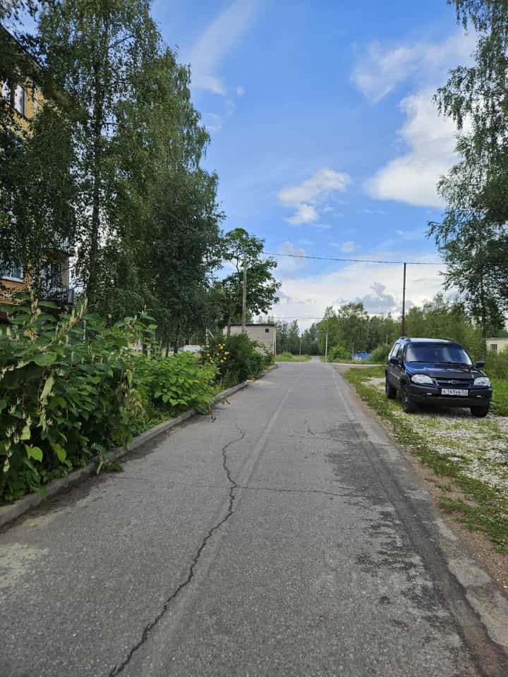 Россия, Новгородская область, Валдайский муниципальный округ, Ивантеевское сельское поселение, деревня Ивантеево, Озёрная улица, 6, фото 14