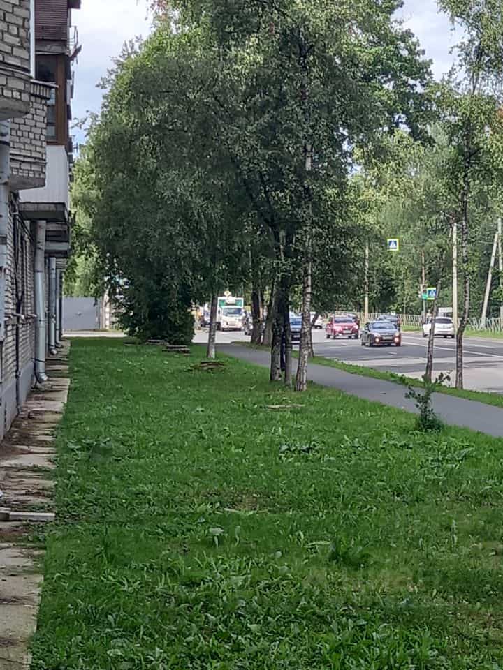Россия, Псков, Юбилейная улица, 14, фото 2