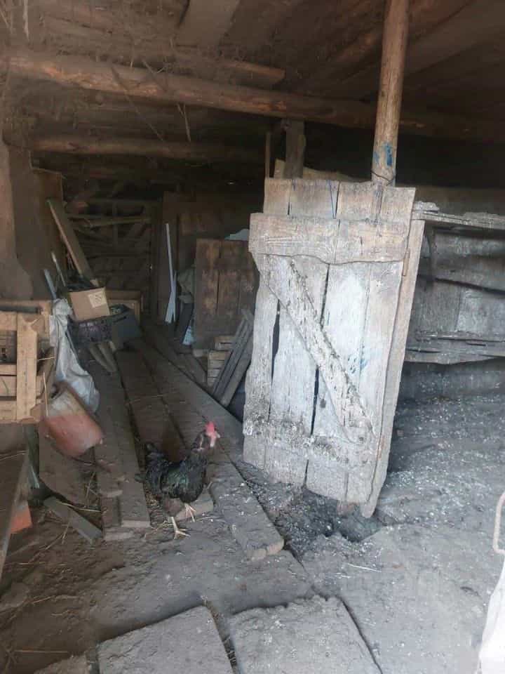 Россия, Орловская область, Мценский район, село Тельчье, Советская улица, 7, фото 22
