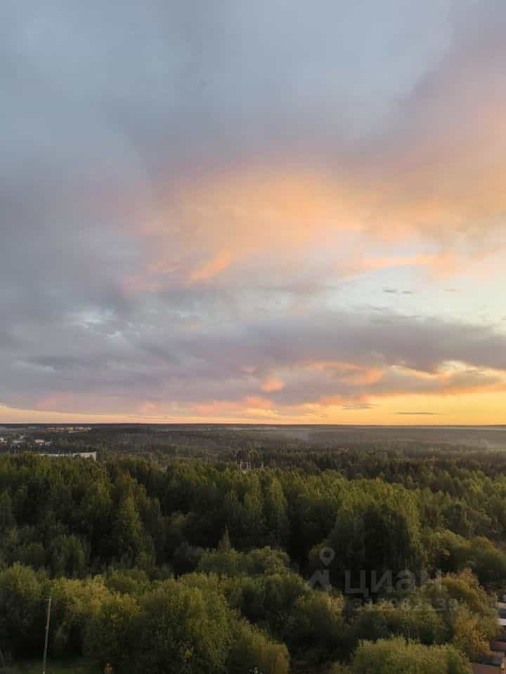 Россия, Республика Коми, Сыктывкар, Петрозаводская улица, 33/2, фото 29