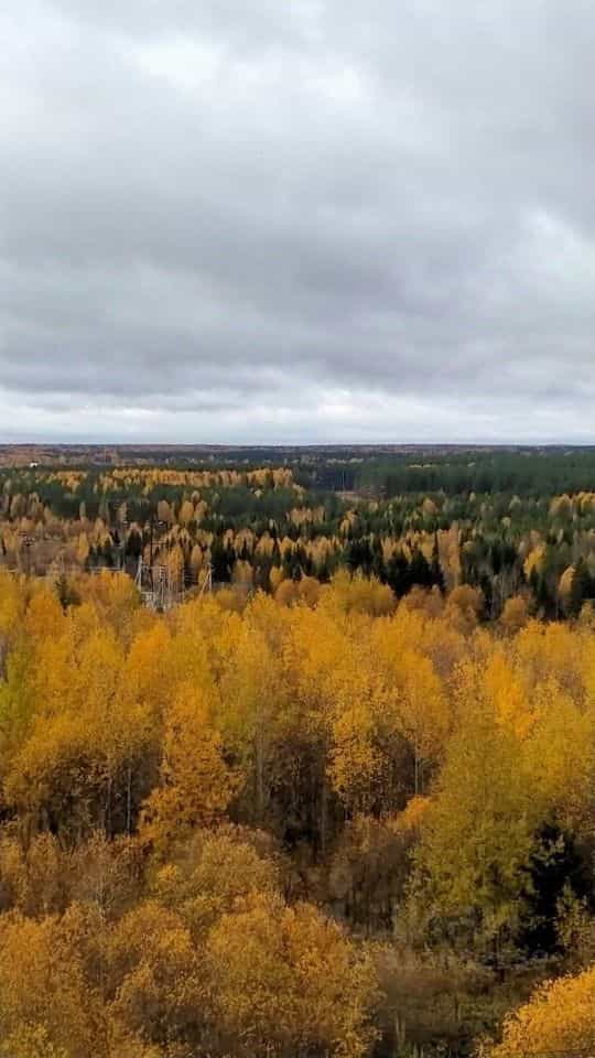 Россия, Республика Коми, Сыктывкар, Петрозаводская улица, 33/2, фото 31