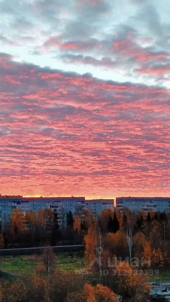Россия, Республика Коми, Сыктывкар, Петрозаводская улица, 33/2, фото 32